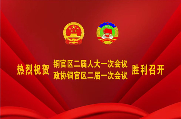 熱烈祝賀公司董事、副總經(jīng)理王從偉被選為 第二屆銅陵市銅官區(qū)政協(xié)常務委員